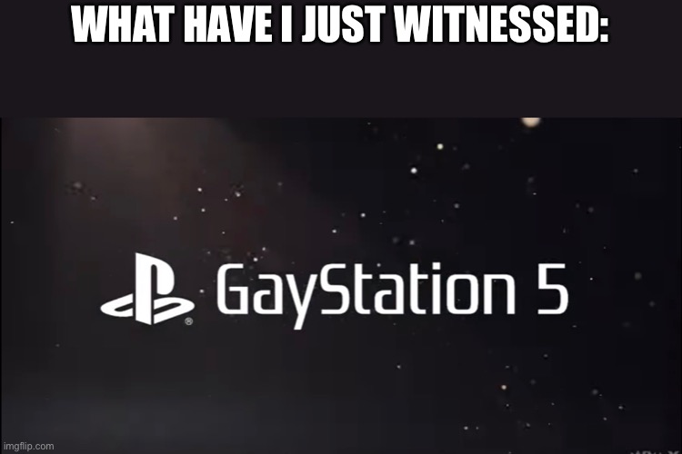 What | WHAT HAVE I JUST WITNESSED: | image tagged in gay,playstation,ps5,5,memes,help me | made w/ Imgflip meme maker