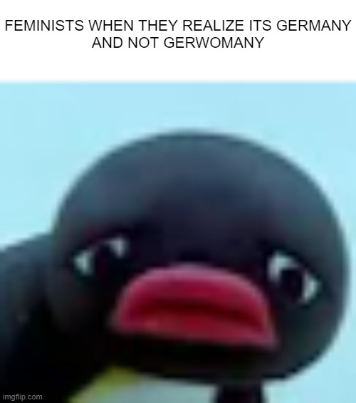 Deutschland | FEMINISTS WHEN THEY REALIZE ITS GERMANY
AND NOT GERWOMANY | image tagged in sad pingu | made w/ Imgflip meme maker