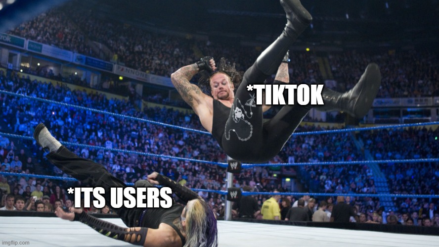 no more giggle | *TIKTOK; *ITS USERS | image tagged in meme smackdown | made w/ Imgflip meme maker