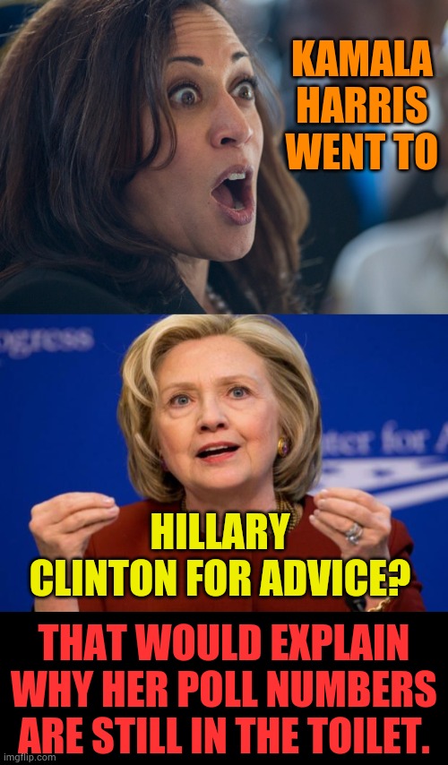 Did You Know | KAMALA HARRIS WENT TO; HILLARY CLINTON FOR ADVICE? THAT WOULD EXPLAIN WHY HER POLL NUMBERS ARE STILL IN THE TOILET. | image tagged in memes,politics,kamala harris,advice,polls,hillary clinton | made w/ Imgflip meme maker