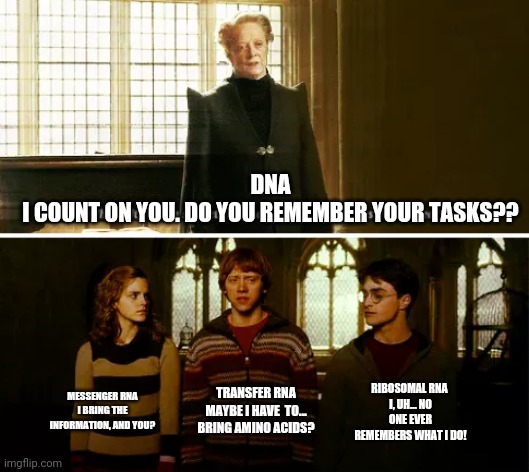 DNA and RNA | DNA
I COUNT ON YOU. DO YOU REMEMBER YOUR TASKS?? MESSENGER RNA
I BRING THE INFORMATION, AND YOU? RIBOSOMAL RNA 
I, UH... NO ONE EVER REMEMBERS WHAT I DO! TRANSFER RNA
MAYBE I HAVE  TO... BRING AMINO ACIDS? | image tagged in always you three | made w/ Imgflip meme maker