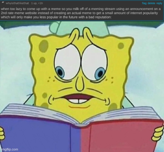 imgflip in a nutshell | image tagged in whyisthatlikethat,cross eyed spongebob | made w/ Imgflip meme maker