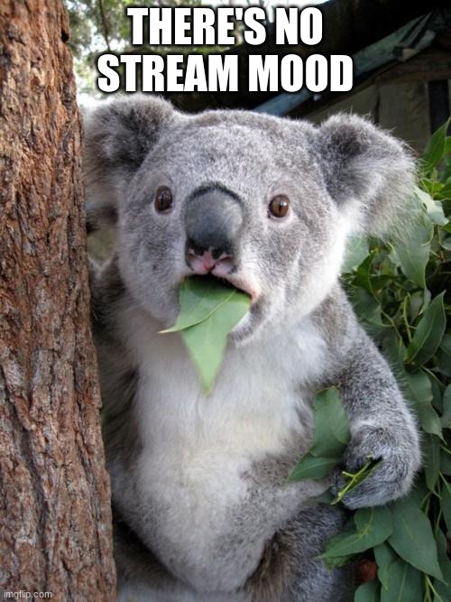 Surprised Koala | THERE'S NO STREAM MOOD | image tagged in memes,surprised koala | made w/ Imgflip meme maker