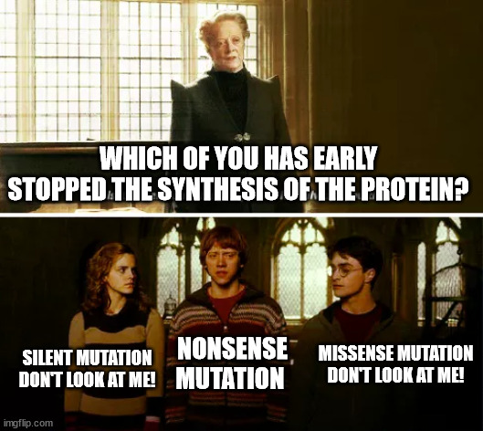 Mutations | WHICH OF YOU HAS EARLY STOPPED THE SYNTHESIS OF THE PROTEIN? MISSENSE MUTATION
DON'T LOOK AT ME! NONSENSE
MUTATION; SILENT MUTATION
DON'T LOOK AT ME! | image tagged in always you three | made w/ Imgflip meme maker