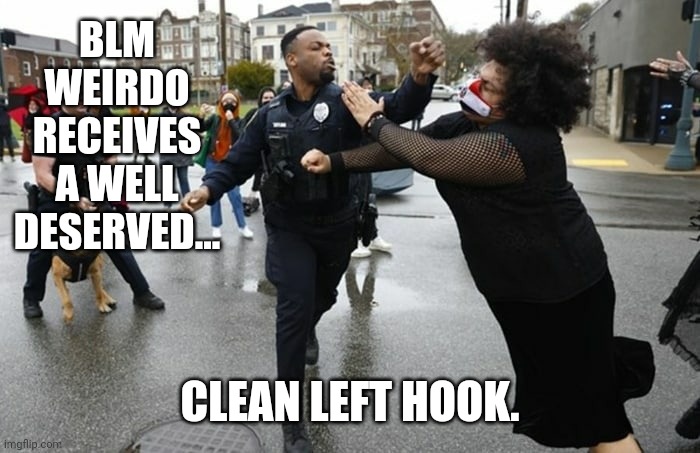 I think that's a dude. | BLM WEIRDO RECEIVES A WELL DESERVED... CLEAN LEFT HOOK. | image tagged in memes | made w/ Imgflip meme maker