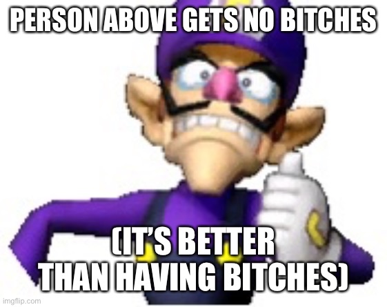 Wah | PERSON ABOVE GETS NO BITCHES; (IT’S BETTER THAN HAVING BITCHES) | image tagged in funny69 moment | made w/ Imgflip meme maker
