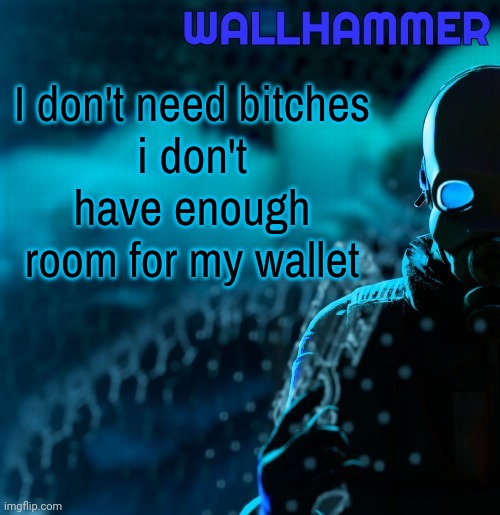 Announcement | I don't need bitches
i don't have enough room for my wallet | image tagged in announcement | made w/ Imgflip meme maker