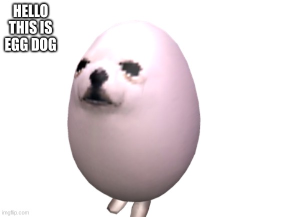 Long live the great egg dog | HELLO THIS IS EGG DOG | image tagged in eggdog | made w/ Imgflip meme maker