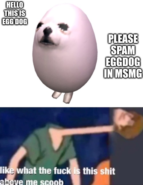 go | PLEASE SPAM EGGDOG IN MSMG; HELLO THIS IS EGG DOG | image tagged in blank white template,like what the f ck is this sh t above me scoob | made w/ Imgflip meme maker
