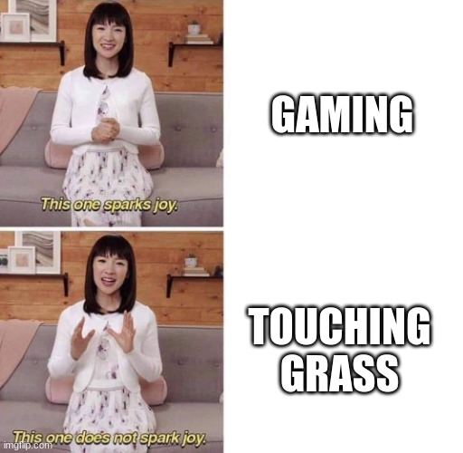 This one sparks joy | GAMING TOUCHING GRASS | image tagged in this one sparks joy | made w/ Imgflip meme maker