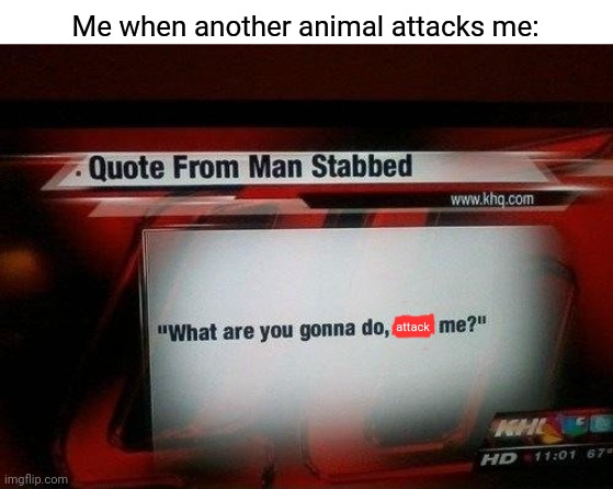 what are you gonna do, stab me? | Me when another animal attacks me:; attack | image tagged in what are you gonna do stab me,memes,gaming memes,bitlife,doglife | made w/ Imgflip meme maker