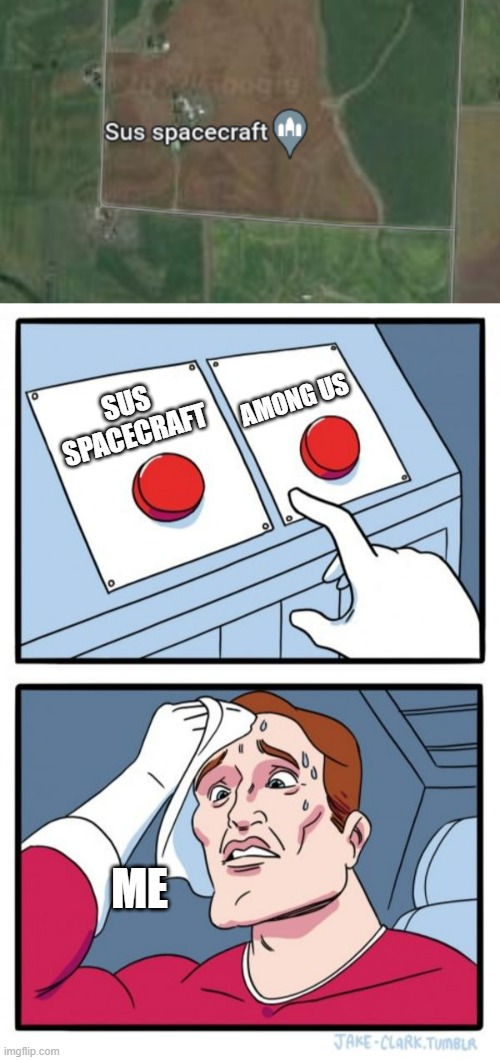 Don't Know What to Choose | SUS SPACECRAFT; AMONG US; ME | image tagged in s u s,memes,two buttons | made w/ Imgflip meme maker