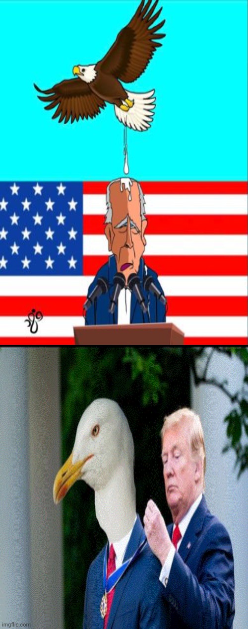 Bald Eagle Rewarded With Medal of Honor For Pooping on Creepy Joe | image tagged in bald eagle,shits,creepy joe biden | made w/ Imgflip meme maker