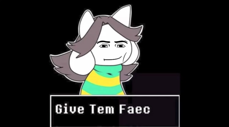 Give temmie a face | image tagged in give temmie a face | made w/ Imgflip meme maker