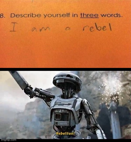 Rebel student, hahahaha | image tagged in rebellion,rebel,memes,answers,meme,answer | made w/ Imgflip meme maker