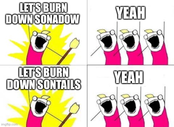 What Do We Want | LET’S BURN DOWN SONADOW; YEAH; YEAH; LET’S BURN DOWN SONTAILS | image tagged in memes,what do we want | made w/ Imgflip meme maker