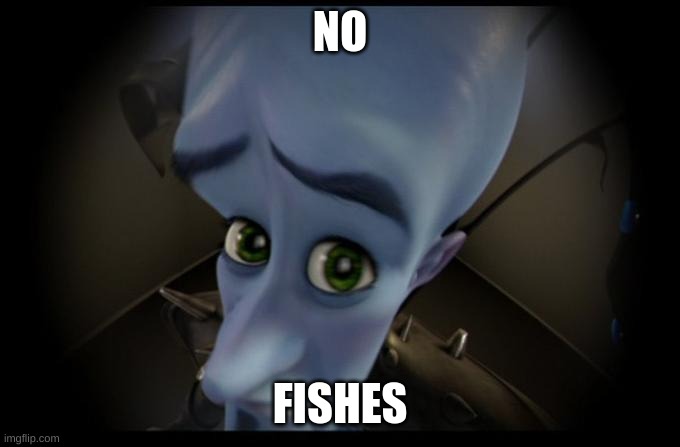 No B****es? | NO FISHES | image tagged in no b es | made w/ Imgflip meme maker