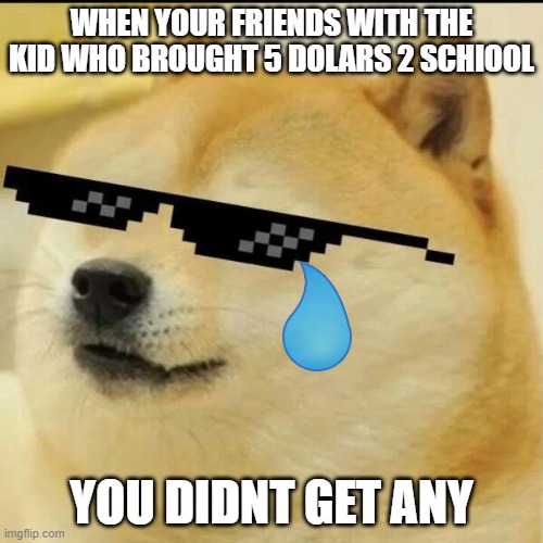 Sunglass Doge | WHEN YOUR FRIENDS WITH THE KID WHO BROUGHT 5 DOLARS 2 SCHIOOL; YOU DIDNT GET ANY | image tagged in sunglass doge | made w/ Imgflip meme maker