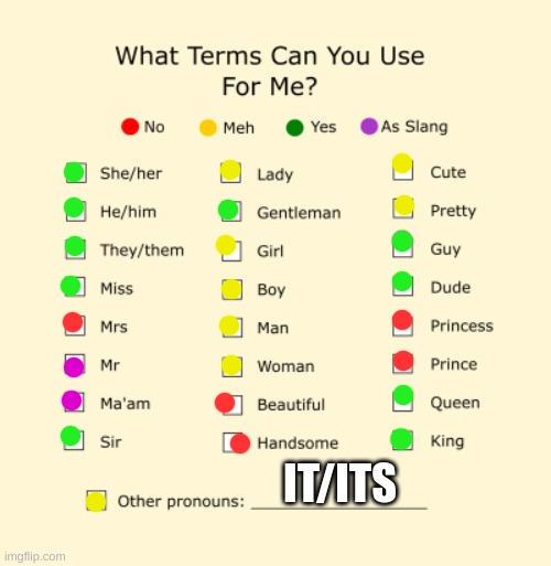 :) Just so you know. | IT/ITS | image tagged in pronouns sheet | made w/ Imgflip meme maker