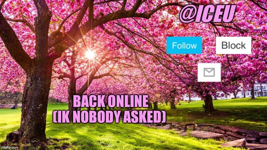 Iceu Spring Template | BACK ONLINE (IK NOBODY ASKED) | image tagged in iceu spring template | made w/ Imgflip meme maker