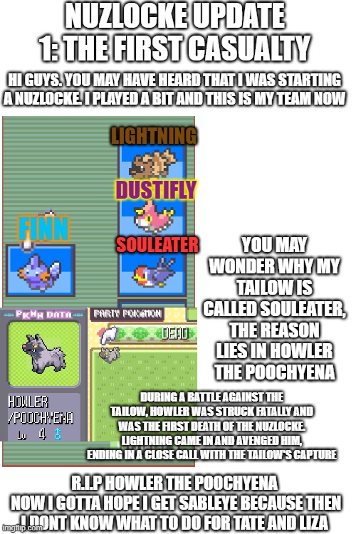 My first nuzlocke update. | NUZLOCKE UPDATE 1: THE FIRST CASUALTY; HI GUYS. YOU MAY HAVE HEARD THAT I WAS STARTING A NUZLOCKE. I PLAYED A BIT AND THIS IS MY TEAM NOW; LIGHTNING; DUSTIFLY; YOU MAY WONDER WHY MY TAILOW IS CALLED SOULEATER, THE REASON LIES IN HOWLER THE POOCHYENA; FINN; SOULEATER; DURING A BATTLE AGAINST THE TAILOW, HOWLER WAS STRUCK FATALLY AND WAS THE FIRST DEATH OF THE NUZLOCKE. LIGHTNING CAME IN AND AVENGED HIM, ENDING IN A CLOSE CALL WITH THE TAILOW'S CAPTURE; R.I.P HOWLER THE POOCHYENA
 NOW I GOTTA HOPE I GET SABLEYE BECAUSE THEN I DONT KNOW WHAT TO DO FOR TATE AND LIZA | image tagged in blank white template | made w/ Imgflip meme maker