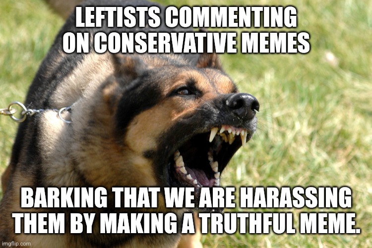Barking dog | LEFTISTS COMMENTING ON CONSERVATIVE MEMES; BARKING THAT WE ARE HARASSING THEM BY MAKING A TRUTHFUL MEME. | image tagged in barking dog | made w/ Imgflip meme maker