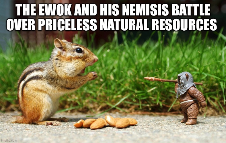 Protect the nuts! |  THE EWOK AND HIS NEMISIS BATTLE OVER PRICELESS NATURAL RESOURCES | image tagged in starwars,ewok,funny | made w/ Imgflip meme maker