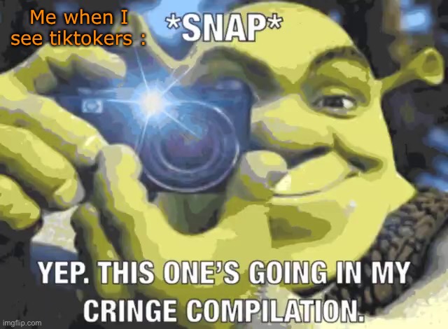 Haha get rekt tiktokers | Me when I see tiktokers : | image tagged in yep this one s going on in my cringe compilation | made w/ Imgflip meme maker