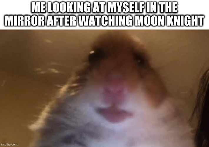 Moon Knight | ME LOOKING AT MYSELF IN THE MIRROR AFTER WATCHING MOON KNIGHT | image tagged in moon | made w/ Imgflip meme maker