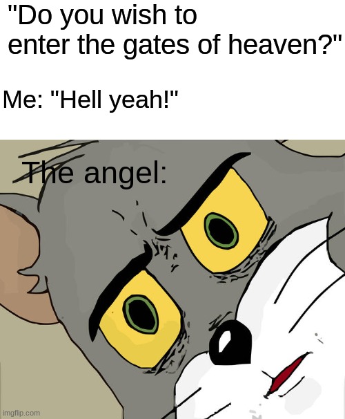 So, do you want to go here or... | "Do you wish to enter the gates of heaven?"; Me: "Hell yeah!"; The angel: | image tagged in memes,unsettled tom | made w/ Imgflip meme maker
