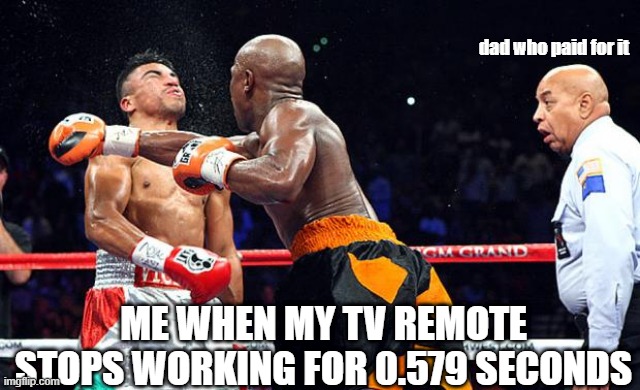 boxing | dad who paid for it; ME WHEN MY TV REMOTE STOPS WORKING FOR 0.579 SECONDS | image tagged in boxing | made w/ Imgflip meme maker