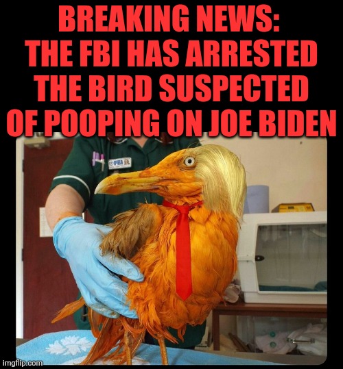 Breaking News:  The FBI Has Arrested The Bird Suspected of Pooping on Joe Biden | BREAKING NEWS: 
THE FBI HAS ARRESTED THE BIRD SUSPECTED OF POOPING ON JOE BIDEN | image tagged in fbi,arrested,bird,pooping,joe biden | made w/ Imgflip meme maker