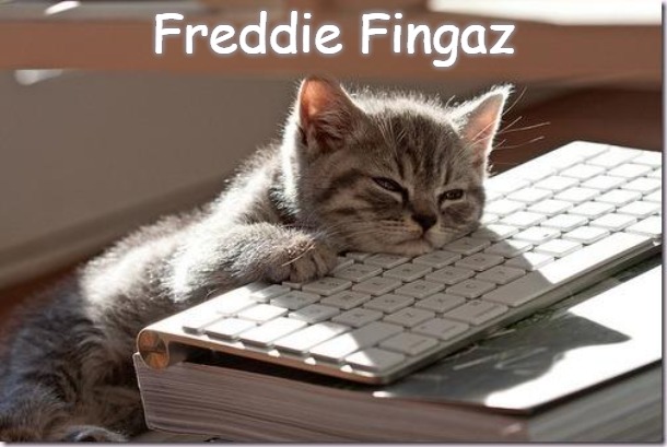 Bored Keyboard Cat | Freddie Fingaz | image tagged in bored keyboard cat,slavic lives matter,freddie fingaz | made w/ Imgflip meme maker