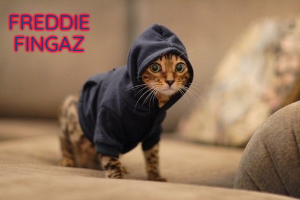 Hoody Cat | FREDDIE FINGAZ | image tagged in memes,hoody cat,slavic lives matter,freddie fingaz | made w/ Imgflip meme maker