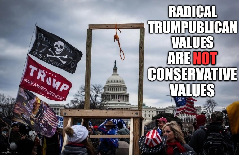 Trumpublicans Don't Have "Values".  They Have Mental Health Issues | ARE NOT CONSERVATIVE VALUES; RADICAL TRUMPUBLICAN VALUES; NOT | image tagged in trump insurrection jan 6 2021,memes,trumpublican terrorists,domestic terrorists,domestic terrorism,lock them up | made w/ Imgflip meme maker