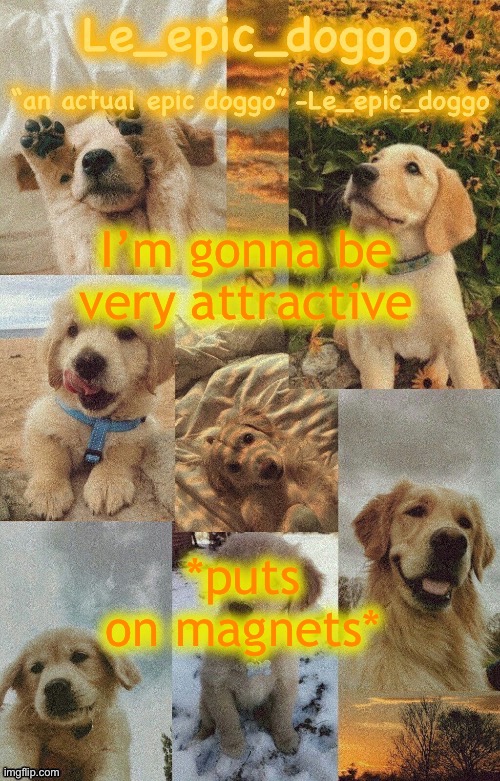 Doggo temp by doggo. Wait what that’s confusing | I’m gonna be very attractive; *puts on magnets* | image tagged in doggo temp by doggo wait what that s confusing | made w/ Imgflip meme maker