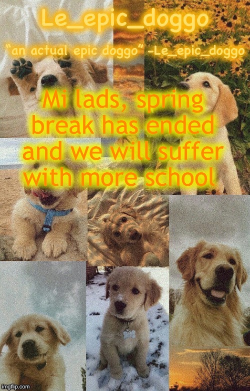 Doggo temp by doggo. Wait what that’s confusing | Mi lads, spring break has ended and we will suffer with more school | image tagged in doggo temp by doggo wait what that s confusing | made w/ Imgflip meme maker