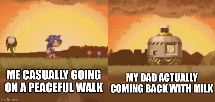 Dad is that you? | ME CASUALLY GOING ON A PEACEFUL WALK; MY DAD ACTUALLY COMING BACK WITH MILK | image tagged in sonic eyx game with sonic looking at something | made w/ Imgflip meme maker