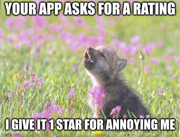 Baby Insanity Wolf |  YOUR APP ASKS FOR A RATING; I GIVE IT 1 STAR FOR ANNOYING ME | image tagged in memes,baby insanity wolf,AdviceAnimals | made w/ Imgflip meme maker