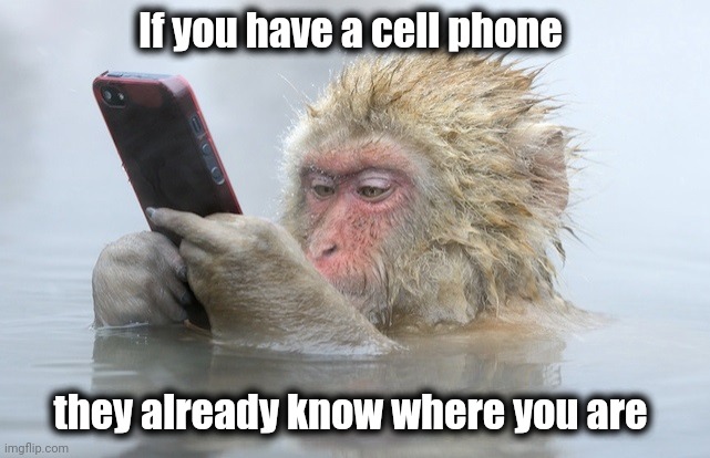 monkey cell phone | If you have a cell phone they already know where you are | image tagged in monkey cell phone | made w/ Imgflip meme maker