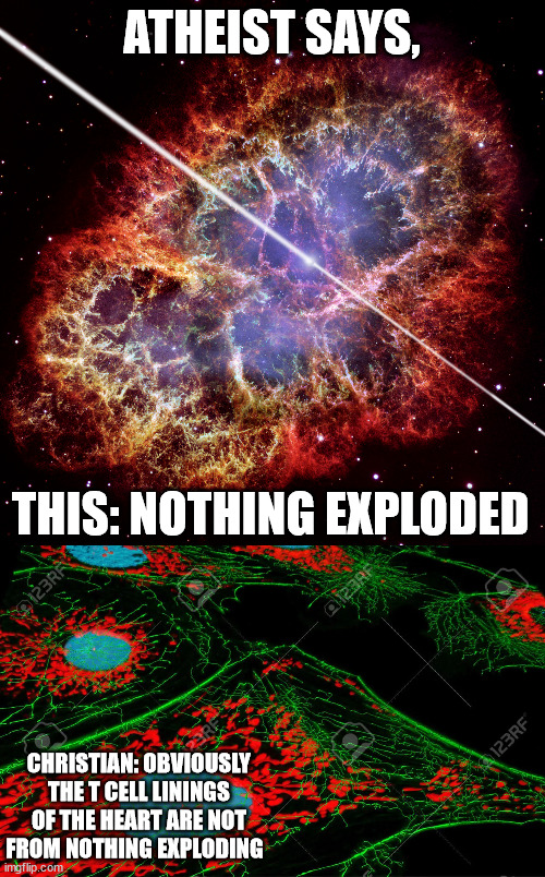 ATHEIST SAYS, THIS: NOTHING EXPLODED CHRISTIAN: OBVIOUSLY THE T CELL LININGS OF THE HEART ARE NOT FROM NOTHING EXPLODING | made w/ Imgflip meme maker
