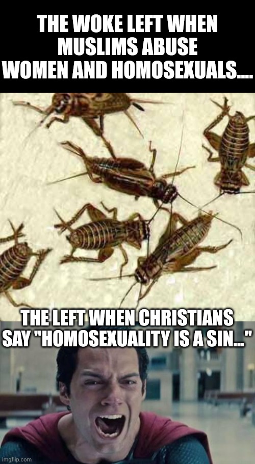 When Muslims throw gay people of buildings and Christians pray for their souls. Who is the left angry with? One guess... | THE WOKE LEFT WHEN MUSLIMS ABUSE WOMEN AND HOMOSEXUALS.... THE LEFT WHEN CHRISTIANS SAY "HOMOSEXUALITY IS A SIN..." | image tagged in crickets,superman shout | made w/ Imgflip meme maker