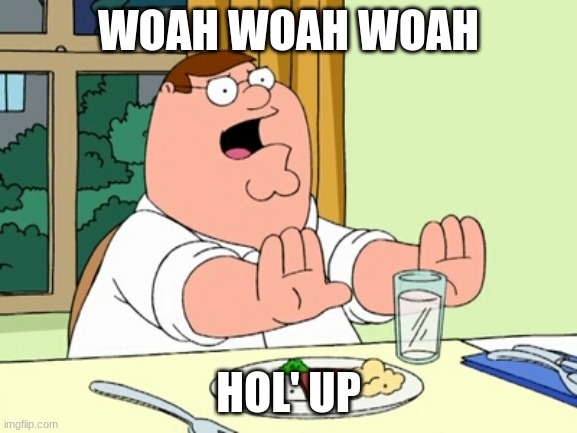 Peter Griffin WOAH | WOAH WOAH WOAH HOL' UP | image tagged in peter griffin woah | made w/ Imgflip meme maker