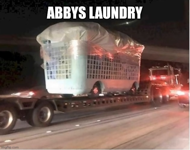 ABBYS LAUNDRY | image tagged in funny memes | made w/ Imgflip meme maker