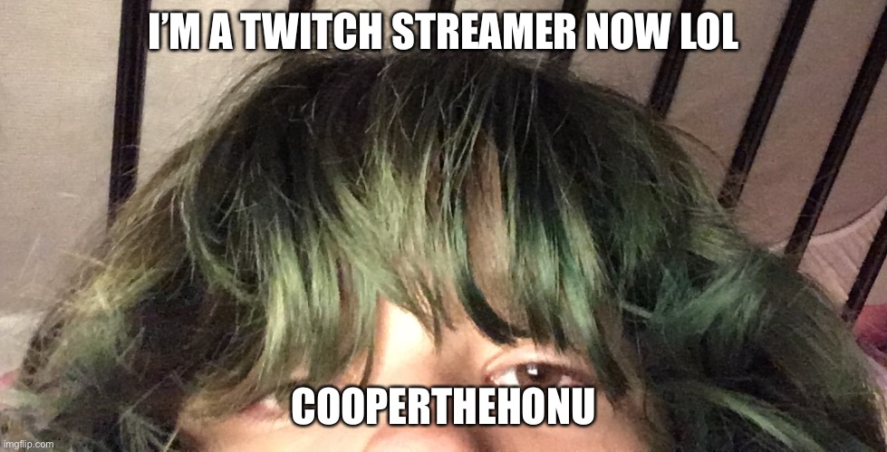 I’M A TWITCH STREAMER NOW LOL; COOPERTHEHONU | made w/ Imgflip meme maker