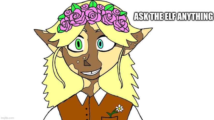his name is Rose |  ASK THE ELF ANYTHING | made w/ Imgflip meme maker