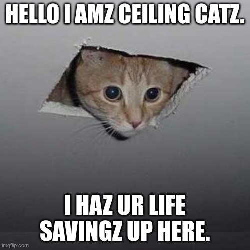 Cat in a ceiling | HELLO I AMZ CEILING CATZ. I HAZ UR LIFE SAVINGZ UP HERE. | image tagged in memes,ceiling cat | made w/ Imgflip meme maker