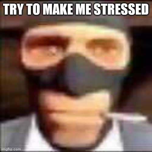 spi | TRY TO MAKE ME STRESSED | image tagged in spi | made w/ Imgflip meme maker