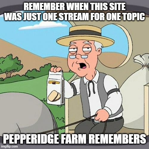 30 Streams for Politics Alone SMH | REMEMBER WHEN THIS SITE WAS JUST ONE STREAM FOR ONE TOPIC; PEPPERIDGE FARM REMEMBERS | image tagged in memes,pepperidge farm remembers | made w/ Imgflip meme maker