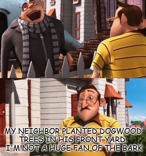 Daily Bad Dad Joke April 18 2022 | MY NEIGHBOR PLANTED DOGWOOD TREES IN HIS FRONT YARD.  I'M NOT A HUGE FAN OF THE BARK | image tagged in gru laughing concerned neighbor | made w/ Imgflip meme maker